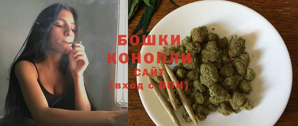 apvp Алексин