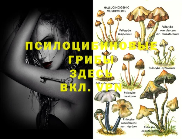 таблы Алзамай