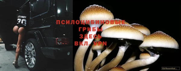 apvp Алексин