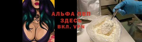 таблы Алзамай