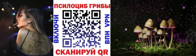 Псилоцибиновые грибы MAGIC MUSHROOMS Находка